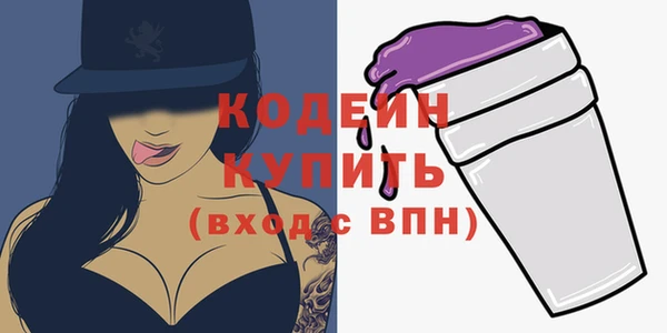 хмурый Покачи